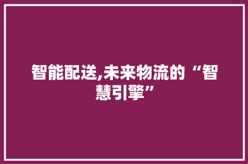 智能配送,未来物流的“智慧引擎”