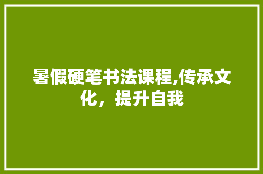 暑假硬笔书法课程,传承文化，提升自我
