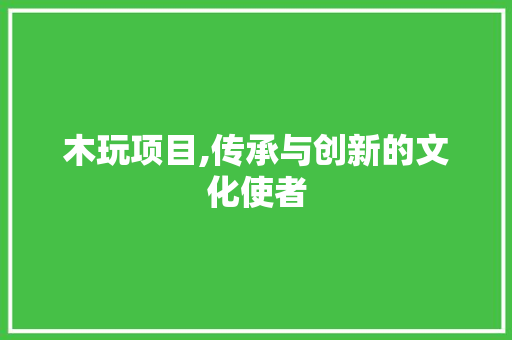 木玩项目,传承与创新的文化使者 成语汇编