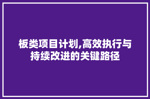 板类项目计划,高效执行与持续改进的关键路径