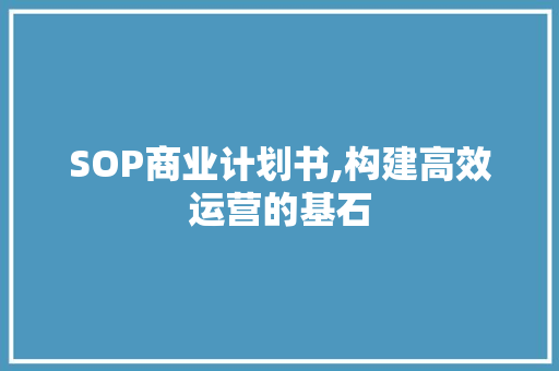 SOP商业计划书,构建高效运营的基石
