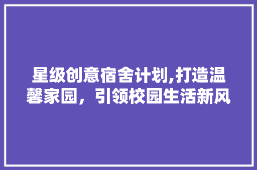 星级创意宿舍计划,打造温馨家园，引领校园生活新风尚