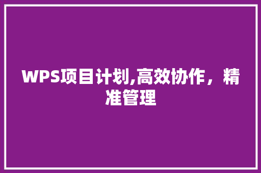 WPS项目计划,高效协作，精准管理