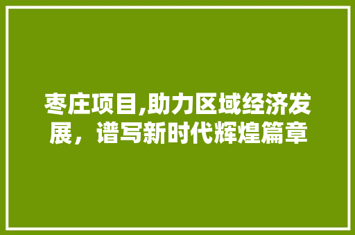 枣庄项目,助力区域经济发展，谱写新时代辉煌篇章