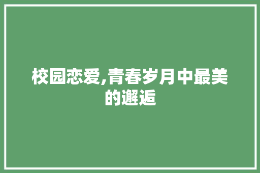 校园恋爱,青春岁月中最美的邂逅