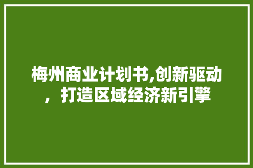 梅州商业计划书,创新驱动，打造区域经济新引擎 英语单词
