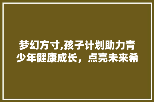 梦幻方寸,孩子计划助力青少年健康成长，点亮未来希望之光