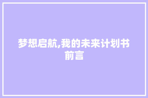 梦想启航,我的未来计划书前言 诗词佳句