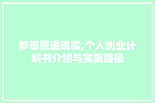 梦想照进现实,个人创业计划书介绍与实施路径