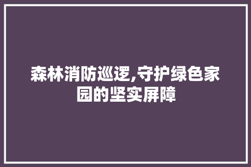 森林消防巡逻,守护绿色家园的坚实屏障