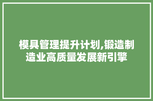 模具管理提升计划,锻造制造业高质量发展新引擎