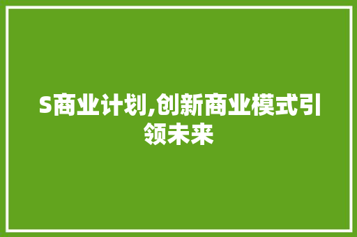 S商业计划,创新商业模式引领未来