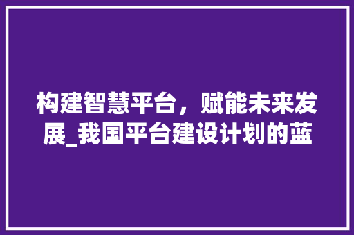 构建智慧平台，赋能未来发展_我国平台建设计划的蓝图与展望
