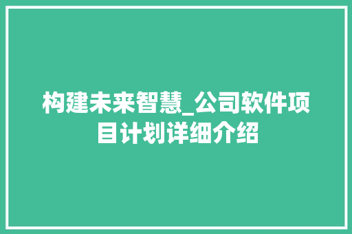构建未来智慧_公司软件项目计划详细介绍 汉字拼音
