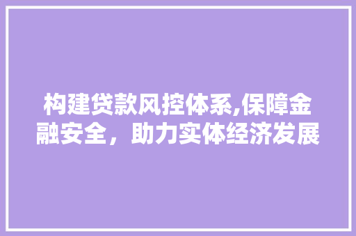 构建贷款风控体系,保障金融安全，助力实体经济发展