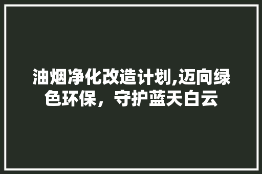 油烟净化改造计划,迈向绿色环保，守护蓝天白云
