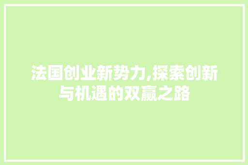 法国创业新势力,探索创新与机遇的双赢之路