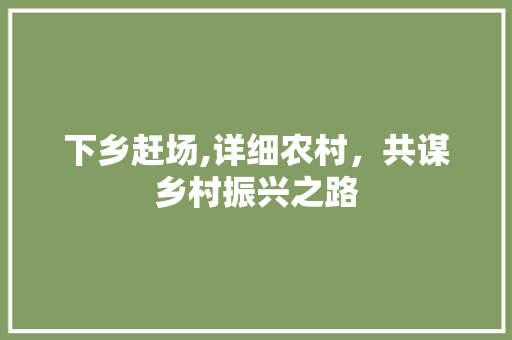 下乡赶场,详细农村，共谋乡村振兴之路