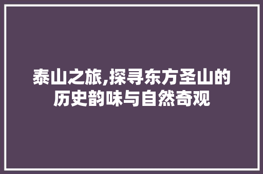 泰山之旅,探寻东方圣山的历史韵味与自然奇观