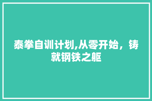 泰拳自训计划,从零开始，铸就钢铁之躯