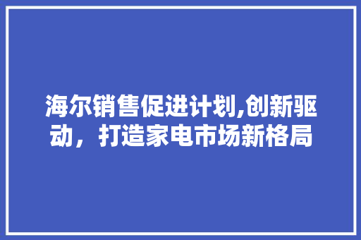 海尔销售促进计划,创新驱动，打造家电市场新格局 短语