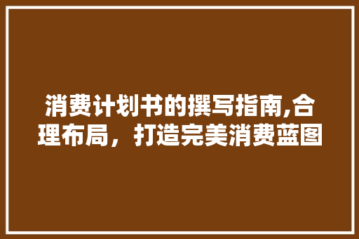 消费计划书的撰写指南,合理布局，打造完美消费蓝图