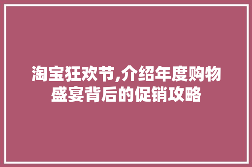 淘宝狂欢节,介绍年度购物盛宴背后的促销攻略