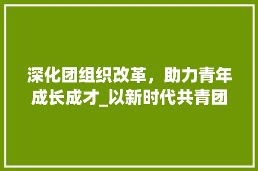 深化团组织改革，助力青年成长成才_以新时代共青团改革计划为指引