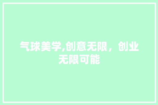 气球美学,创意无限，创业无限可能