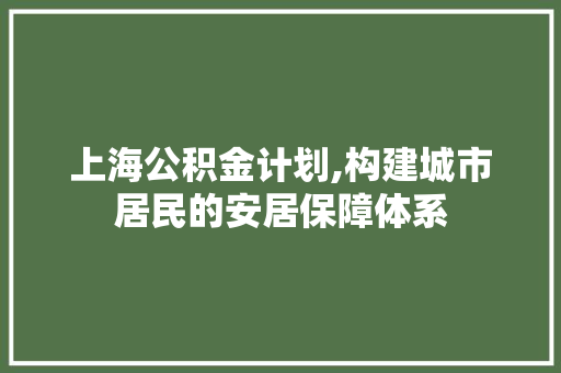 上海公积金计划,构建城市居民的安居保障体系