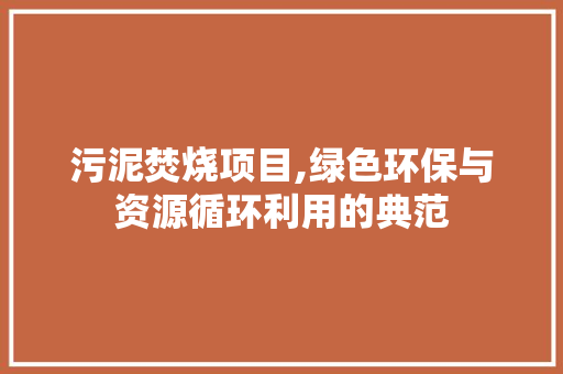 污泥焚烧项目,绿色环保与资源循环利用的典范