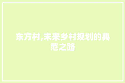 东方村,未来乡村规划的典范之路