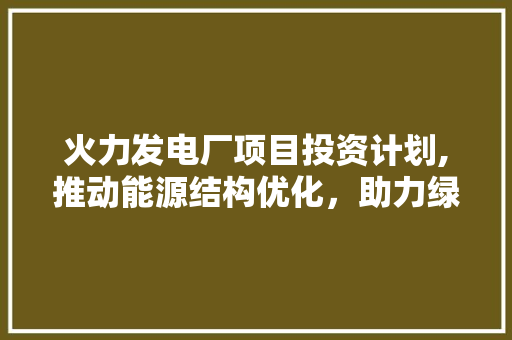 火力发电厂项目投资计划,推动能源结构优化，助力绿色发展
