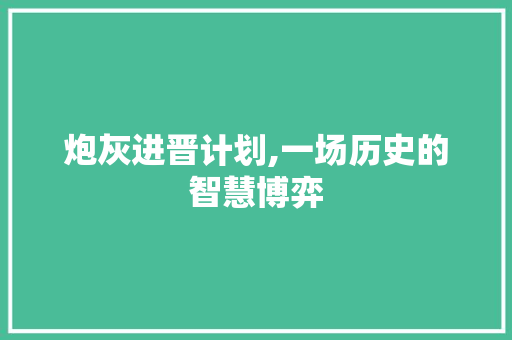 炮灰进晋计划,一场历史的智慧博弈 问答