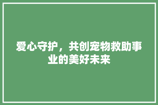 爱心守护，共创宠物救助事业的美好未来