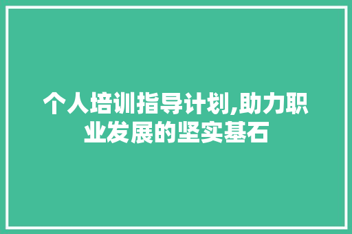 个人培训指导计划,助力职业发展的坚实基石