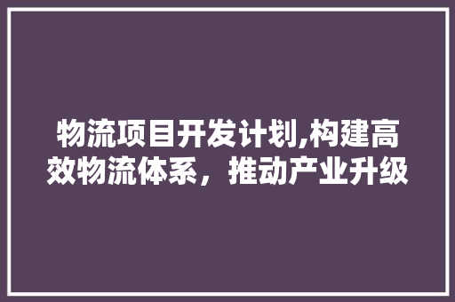 物流项目开发计划,构建高效物流体系，推动产业升级