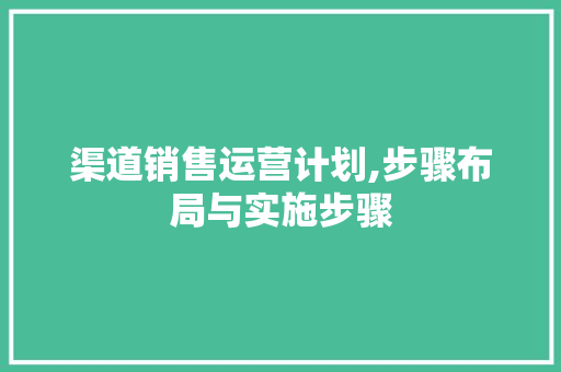 渠道销售运营计划,步骤布局与实施步骤