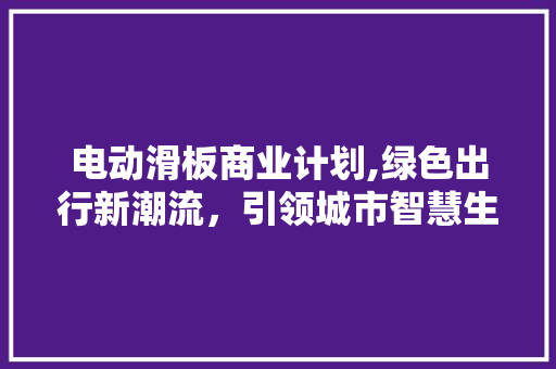 电动滑板商业计划,绿色出行新潮流，引领城市智慧生活