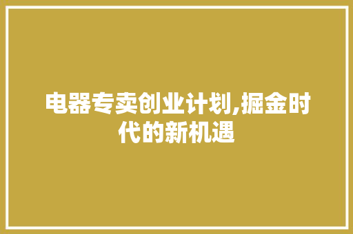 电器专卖创业计划,掘金时代的新机遇