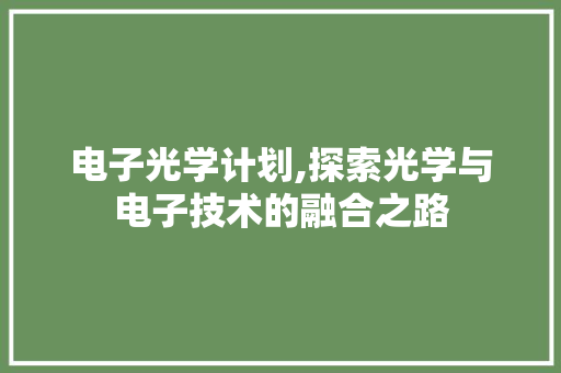 电子光学计划,探索光学与电子技术的融合之路