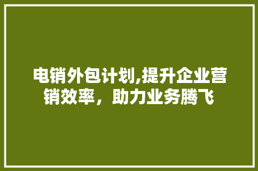 电销外包计划,提升企业营销效率，助力业务腾飞
