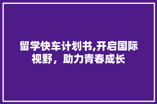 留学快车计划书,开启国际视野，助力青春成长