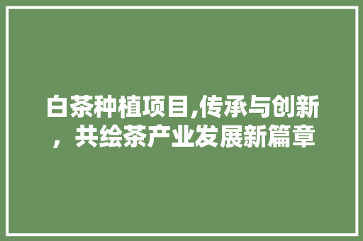 白茶种植项目,传承与创新，共绘茶产业发展新篇章