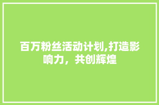 百万粉丝活动计划,打造影响力，共创辉煌