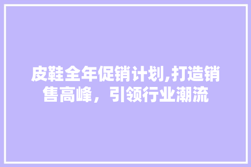 皮鞋全年促销计划,打造销售高峰，引领行业潮流