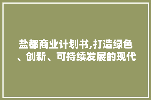 盐都商业计划书,打造绿色、创新、可持续发展的现代化盐业产业