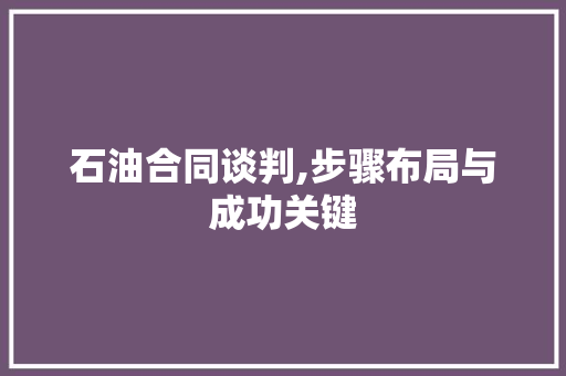 石油合同谈判,步骤布局与成功关键