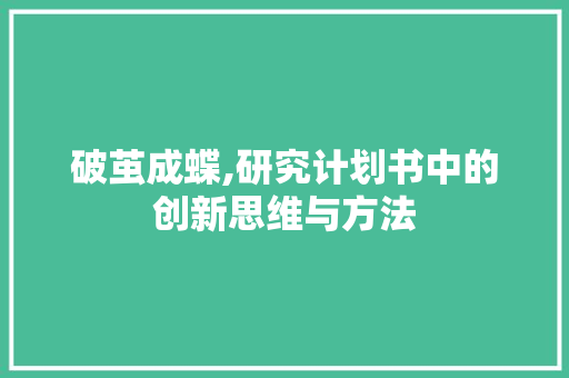 破茧成蝶,研究计划书中的创新思维与方法