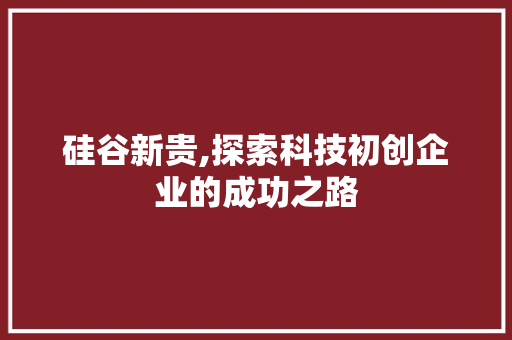 硅谷新贵,探索科技初创企业的成功之路